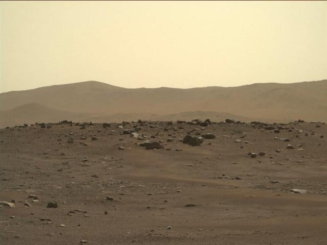 rover.jpg