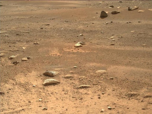 rover.jpg