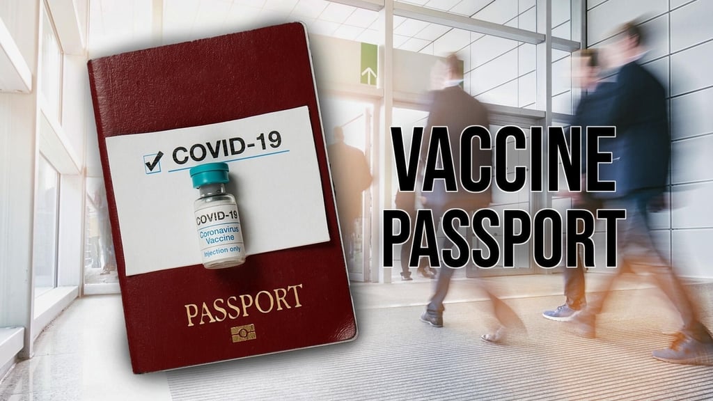 Facial recognition executive discusses COVID-19 vaccine passports, data privacy, and surveillance