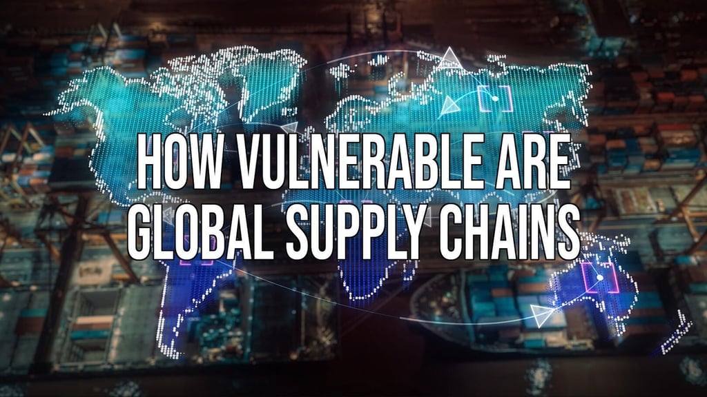 The last year showed that the global supply chain is fragile