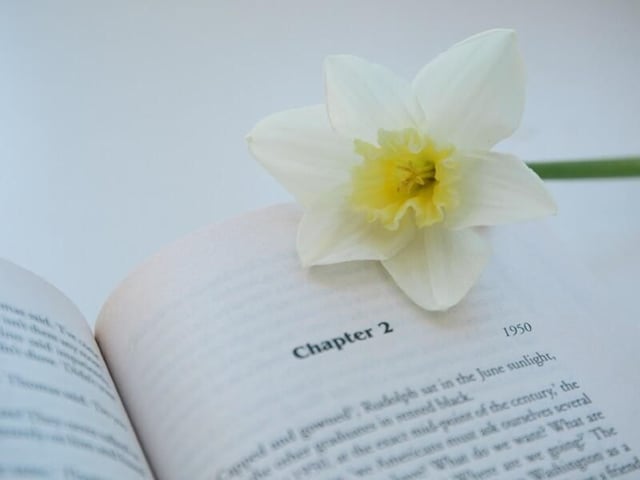 How to include the chapter number with a Word document’s page number