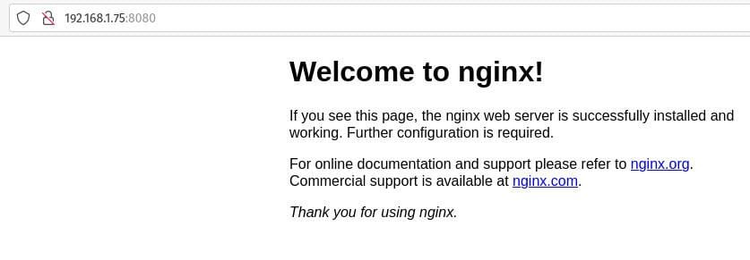 How to copy files between a host and a Docker container