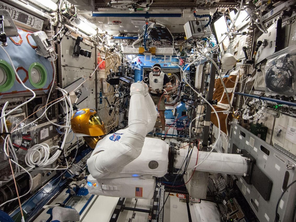 From Space Travel To Washing Dishes: Nimble Bot Is First Real All-Purpose  Robot