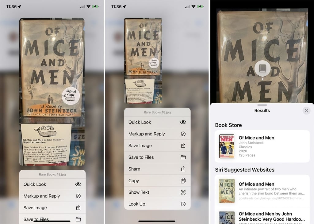 How to identify items in your iPhone photos with Visual Lookup