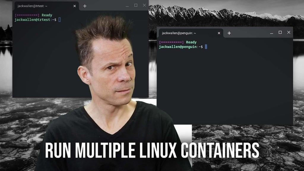 Run multiple Linux containers in Chrome OS for different developer builds