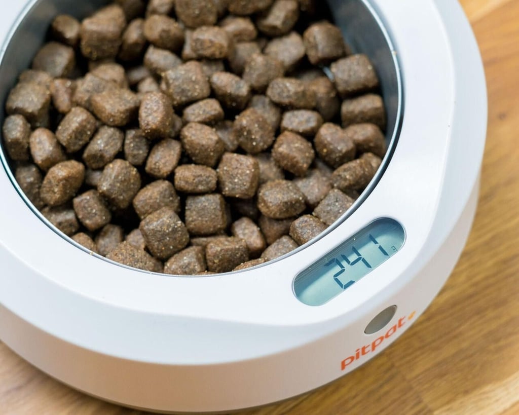 pitpat-bowl.jpg
