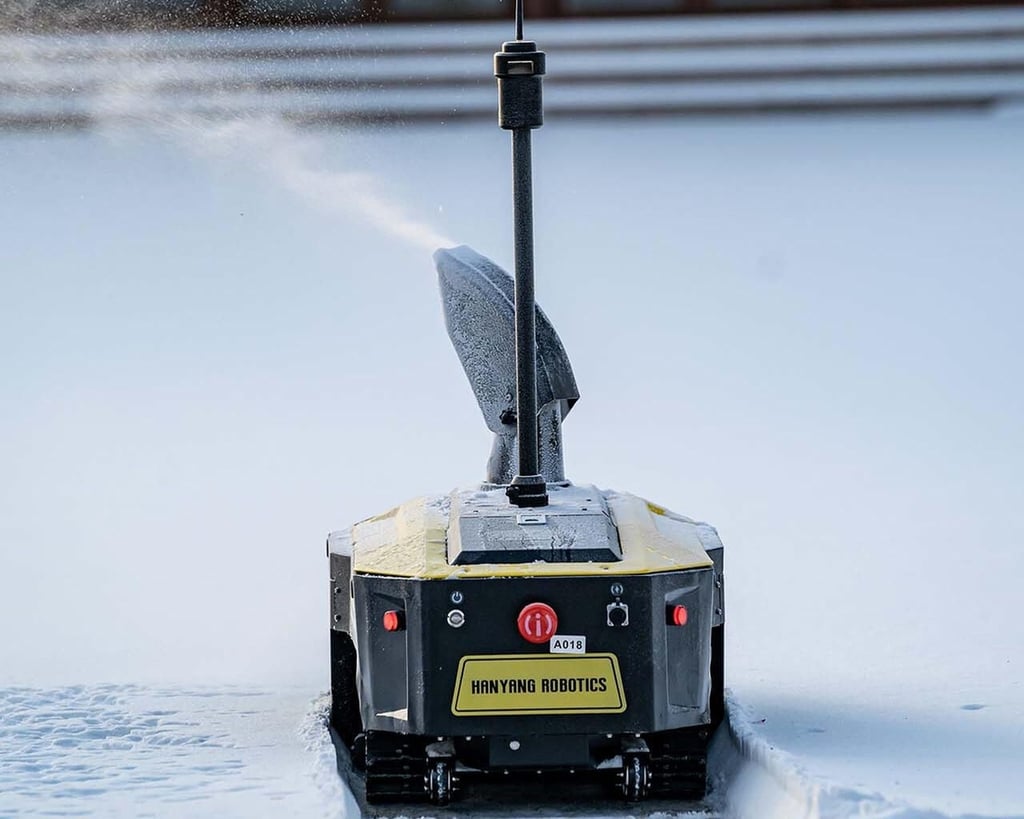 snowbot.jpg