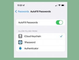 Selecting an AutoFill app in iOS is easy in the Settings app.
