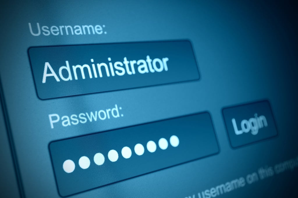Even C-suite executives use terrible passwords like 123456