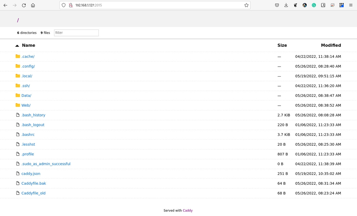 How to deploy a single web page to the Caddy server from a Caddyfile