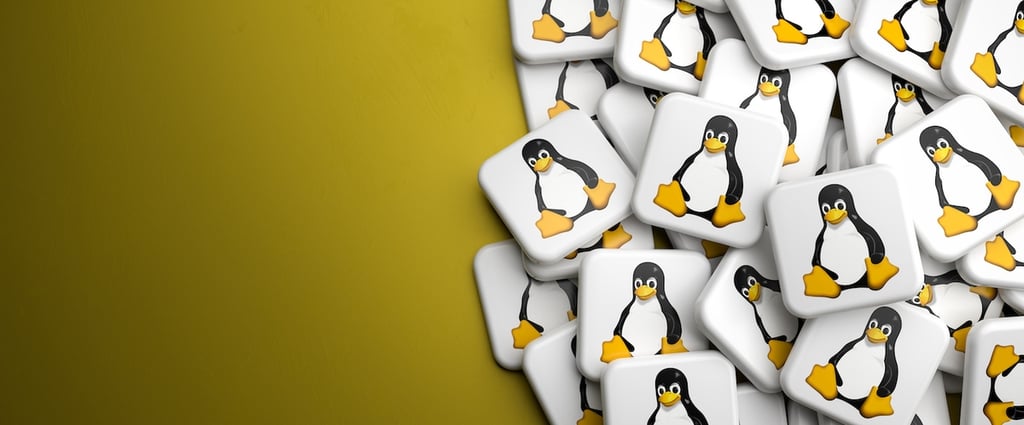 How to expand and shrink LVM volumes