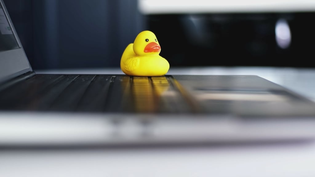 A troubleshooting primer for software developers