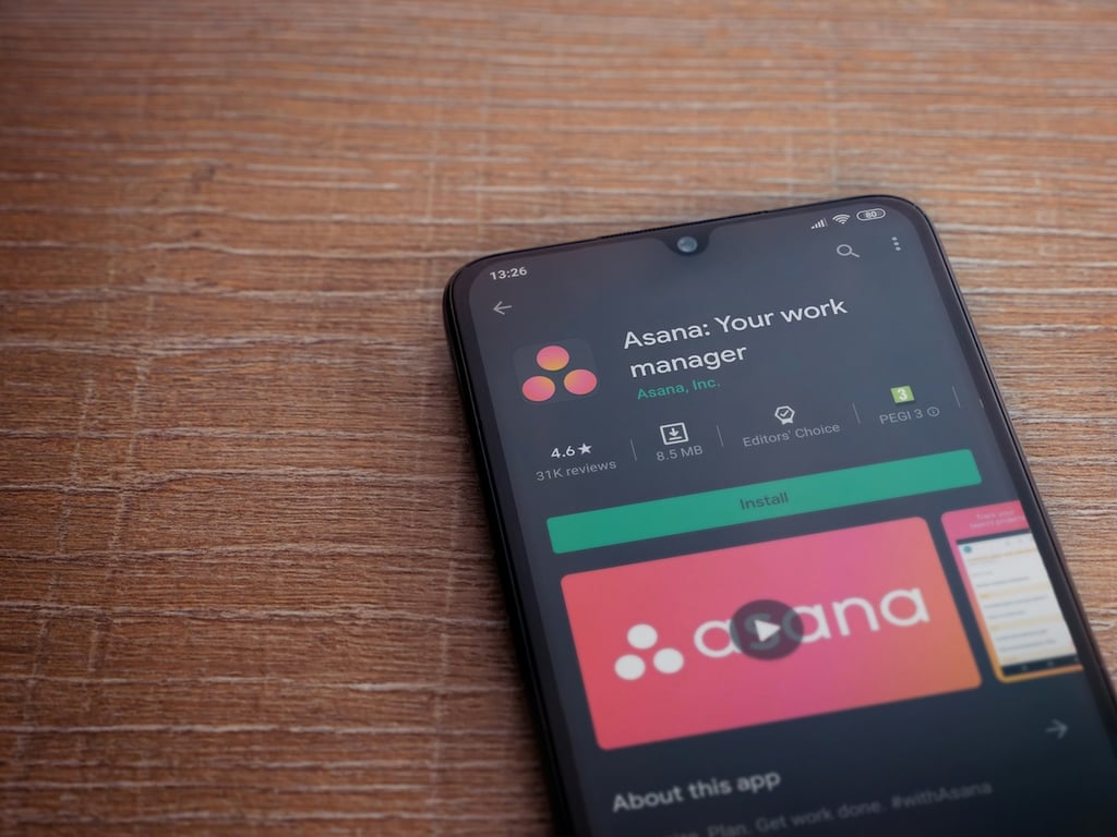 How to use Asana: A guide for beginners