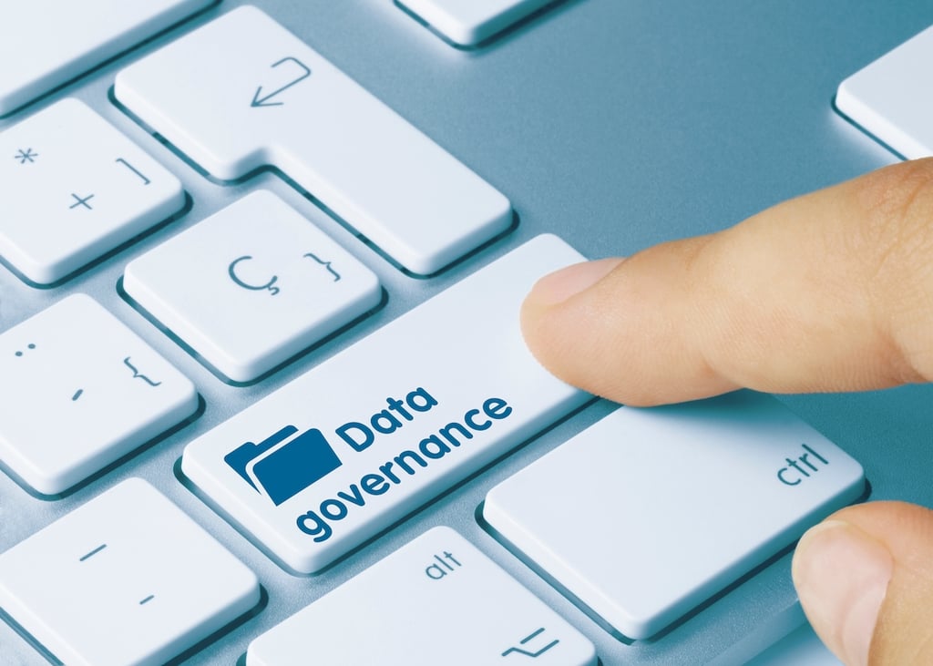 What is a data governance program?