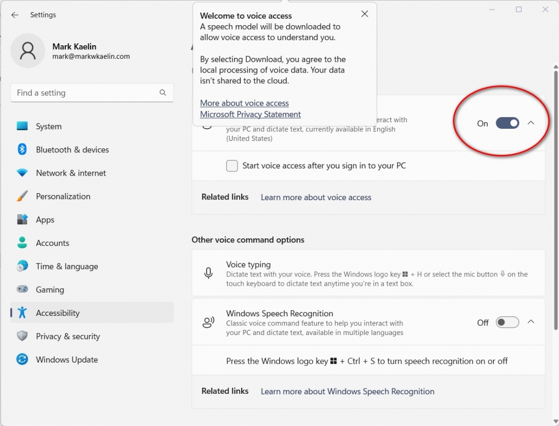Enable Voice Activated Navigation in Windows 11 22H2 TechRepublic