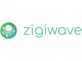 Zigiwave logo.