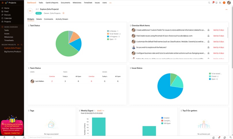 how-to-customize-your-zoho-projects-dashboard