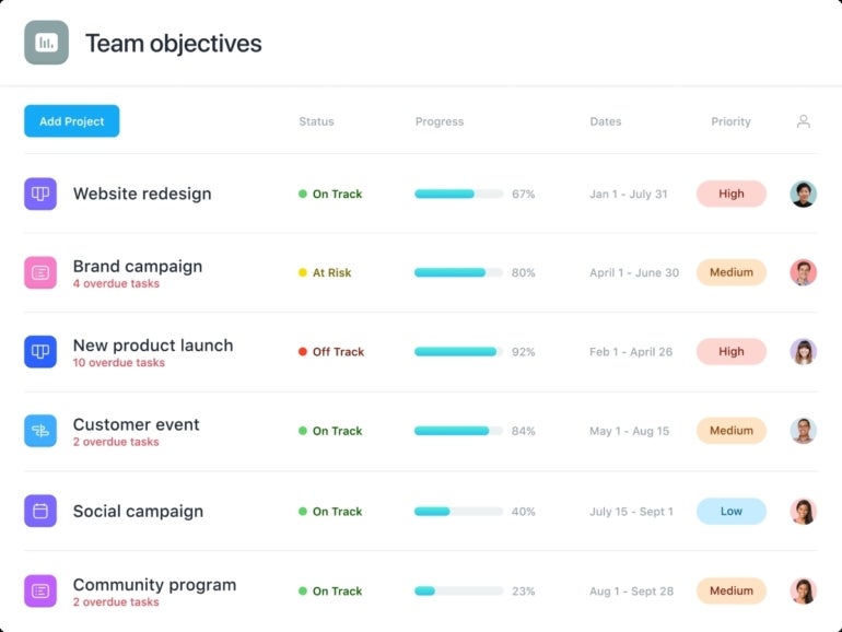 Asana multiple project portfolio template.