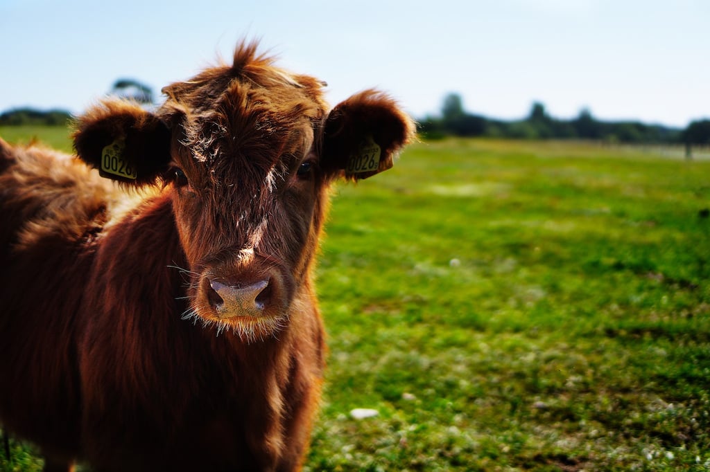 6 Best Payroll Software for Farms