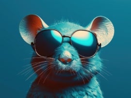 Illustrated rat wearing sunglasses in front of a blue background