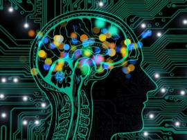 A brain and skull are outlined with blobs of color shown in the region of the brain. This image is meant to represent artificial intelligence processes and their creative aspects.