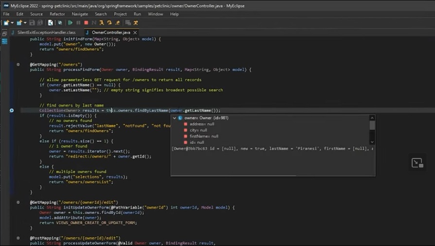 Top IDEs for Java Developers