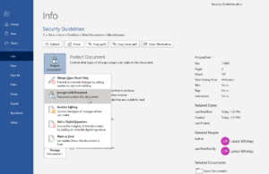 Different Methods To Secure Your Microsoft Word Documents