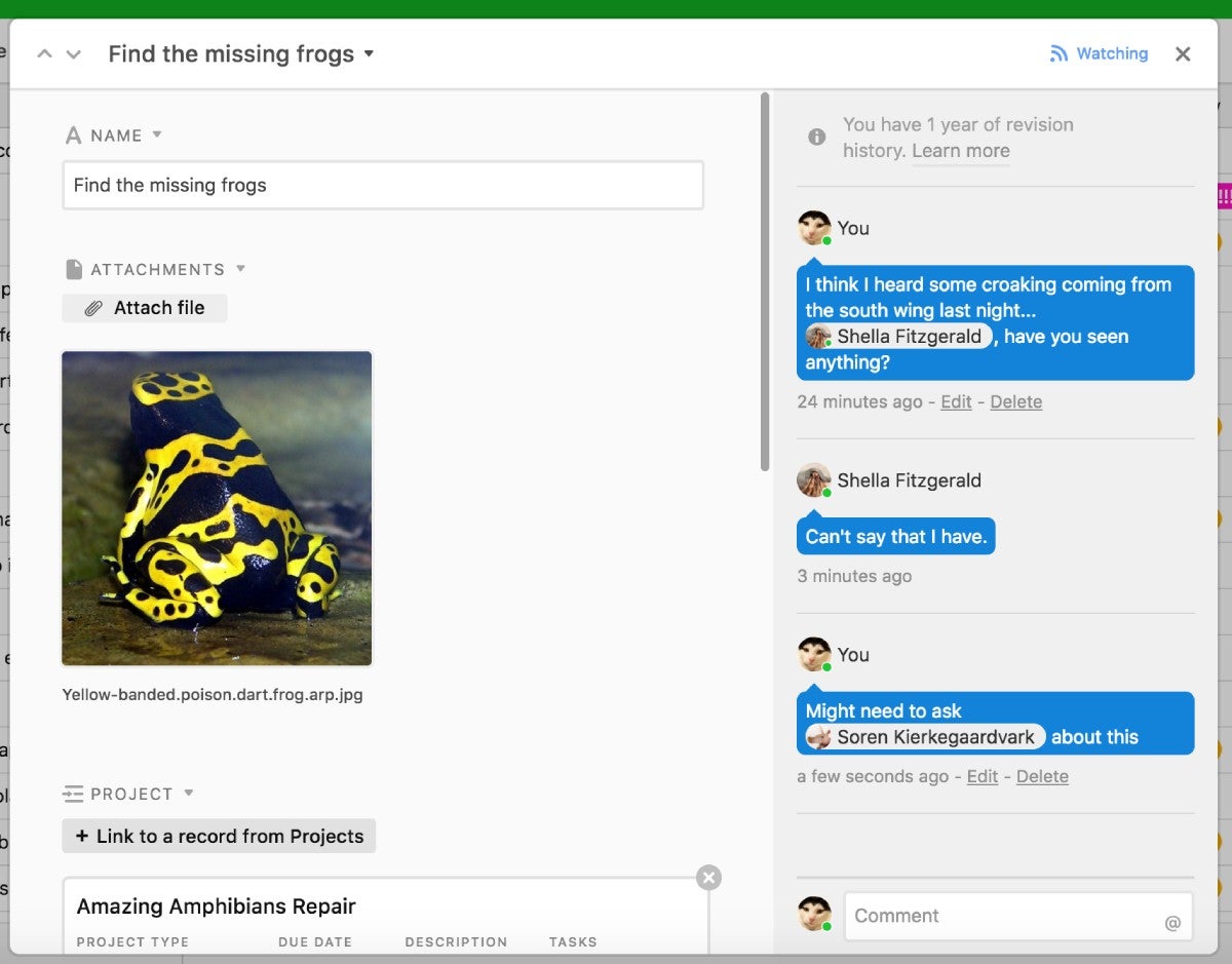 Airtable comments.