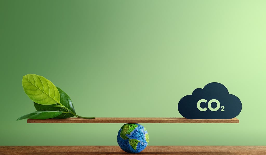 Tech Takes Diverse Approaches to Sustainability Including Net Zero Carbon by 2030