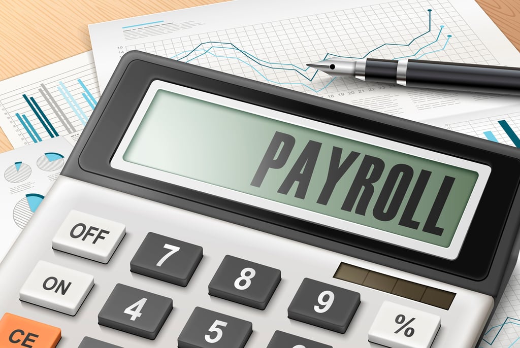 What Are Payroll Taxes and How Do They Work?