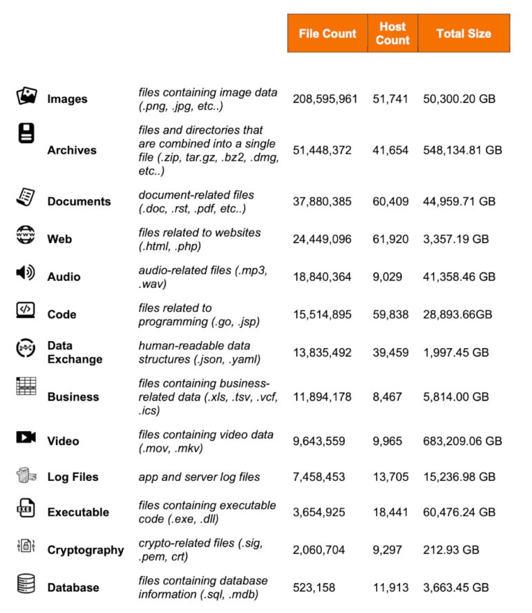 Chart showing top 13 file types stored in open directories.