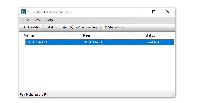 Configuring connection properties in SonicWall.