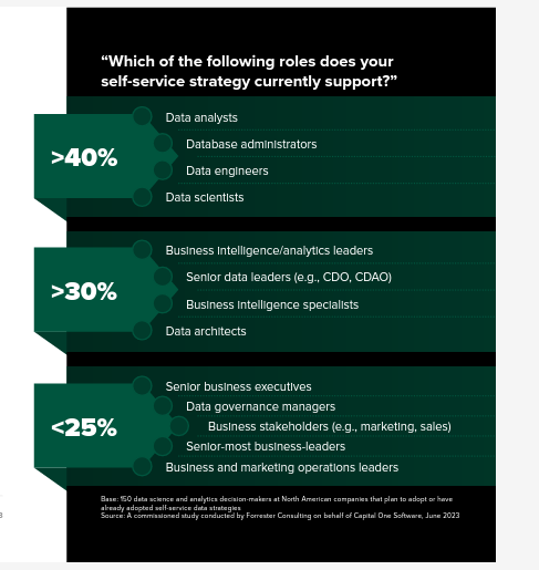 Job roles in self-service data strategies study.