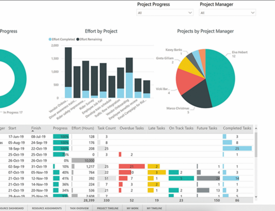 Microsoft Project Review 2024: Features, Pricing & Alternatives