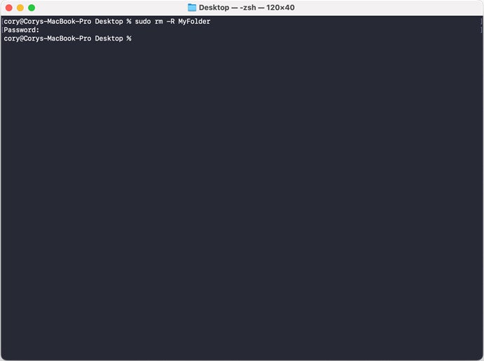 The sudo terminal command prompt in Mac.