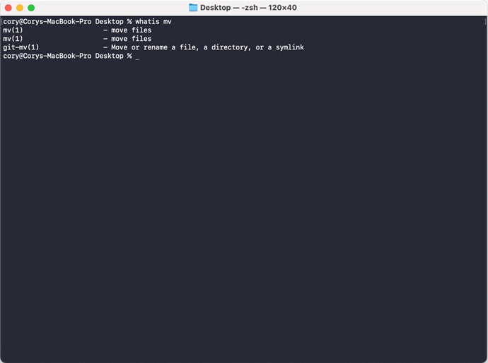 The whatis terminal command prompt in Mac.