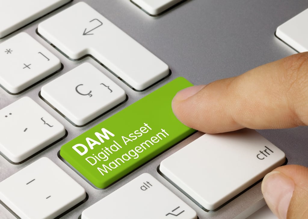 8 Best Digital Asset Management Software
