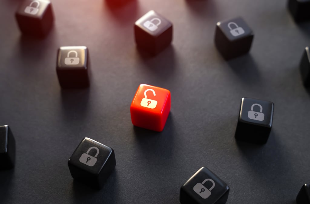 Microsoft and SysAid Find Clop Malware Vulnerability