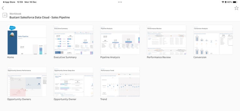 A dashboard of Tableau Mobile on iPadOS.