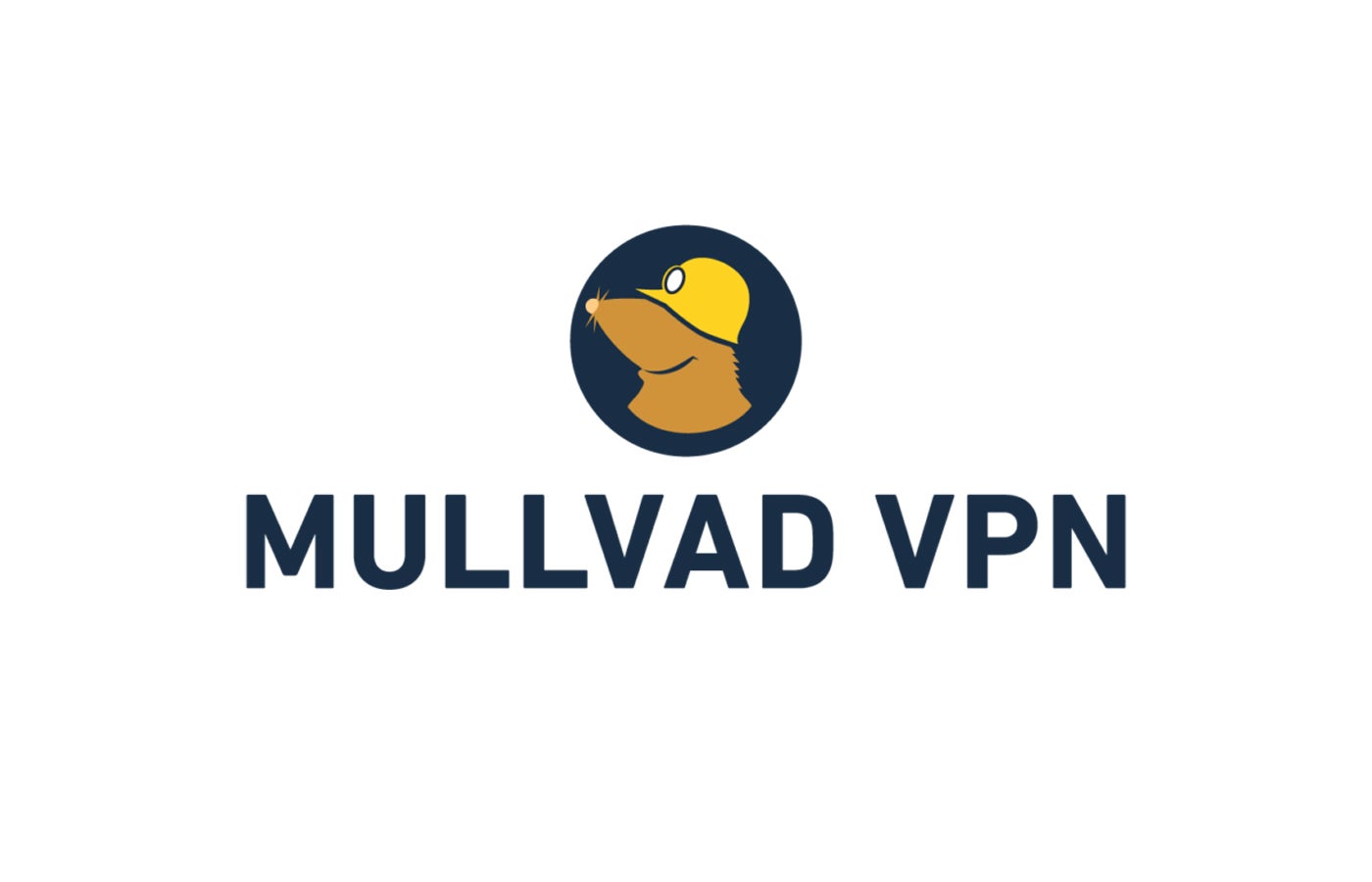 Mullvad VPN Review (2023): Features, Pricing, Security & Speed