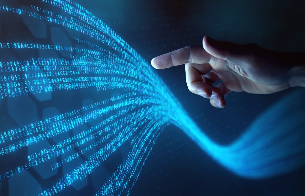 What Is Data Management?