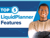 LiquidPlanner features