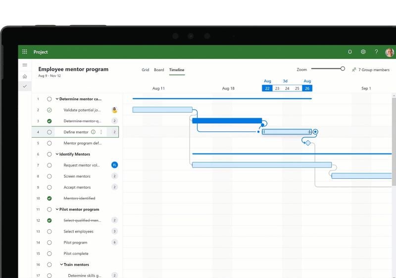 Microsoft Project timeline view