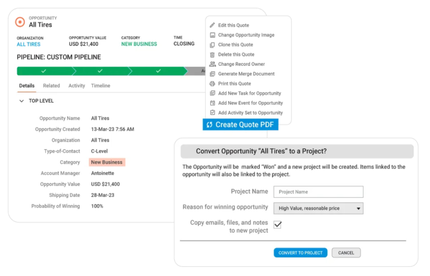 Insightly project conversion page example.