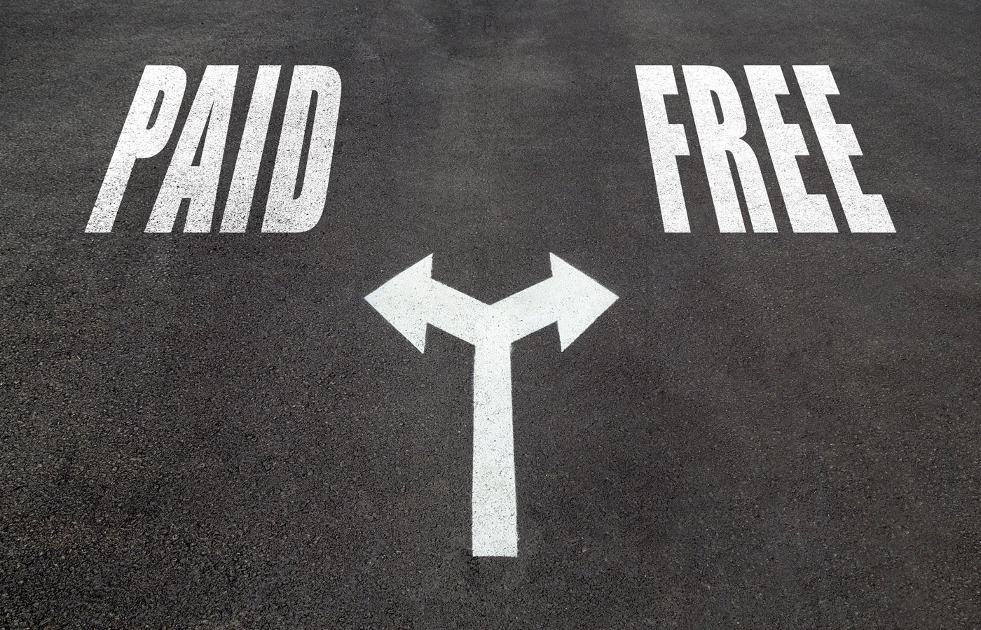 Free VPN vs Paid VPN: Which One Is Right for You?