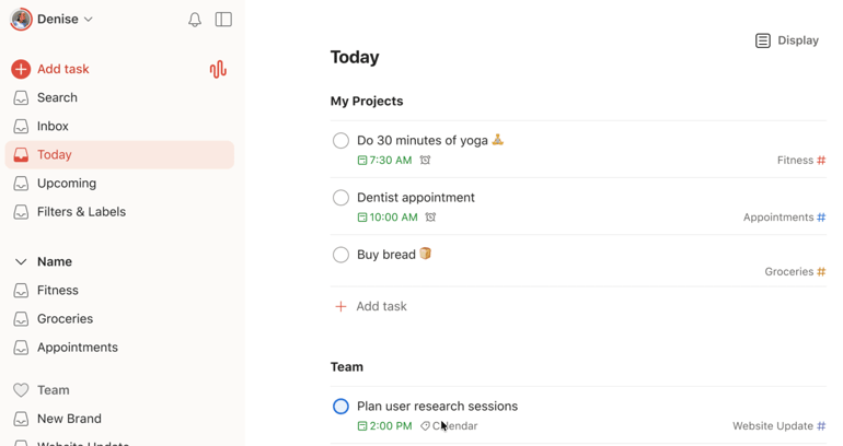 Todoist dashboard showing daily personal tasks, project categories, reminders, and scheduled task lists.
