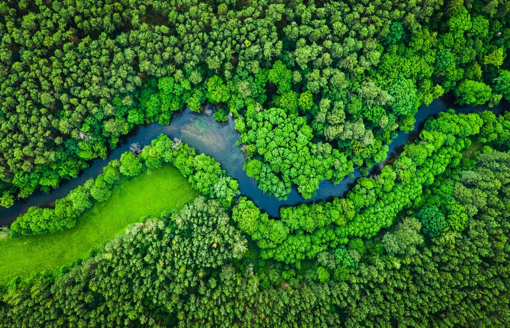 All You Need to Know about Greentech