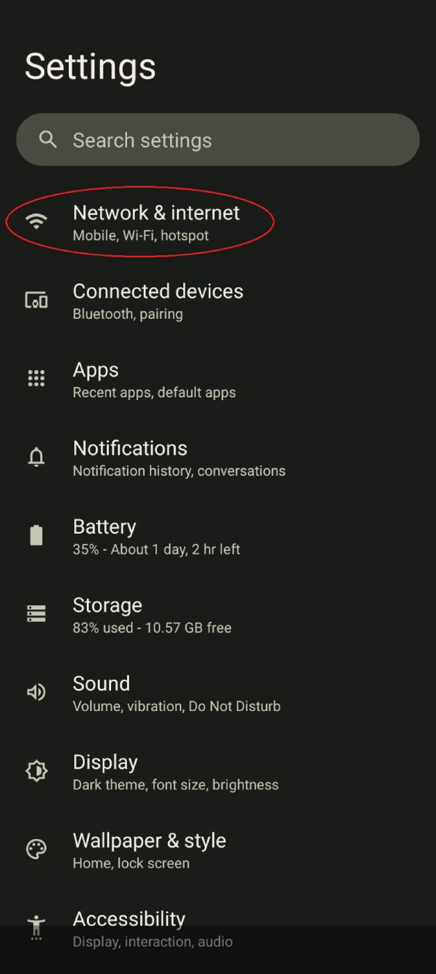 A screenshot of the Android Settings screen with Network & internet circled.