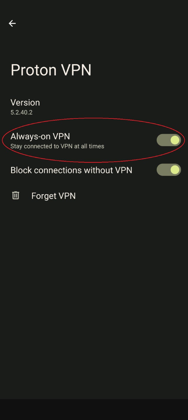 A screenshot of the Android VPN settings screen with the Always-on VPN option circled.