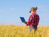 Girl farmer standing in a wheat field with a laptop.